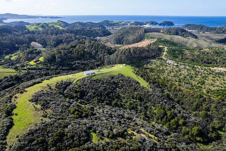 161B Clements Road Matapouri Bay_17