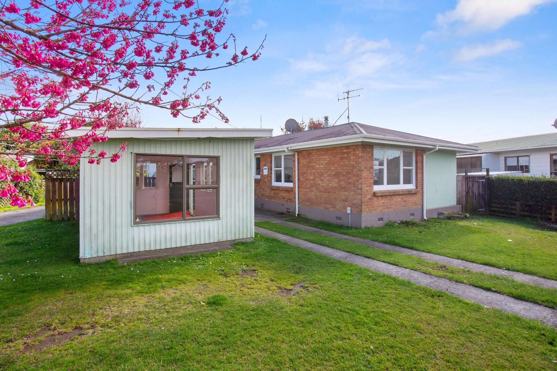 116 Park Road Katikati_0