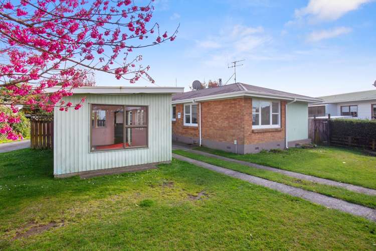116 Park Road Katikati_0