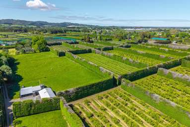 94 Clevedon-Takanini Road_1