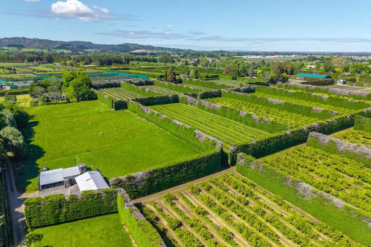 94 Clevedon-Takanini Road Ardmore_1