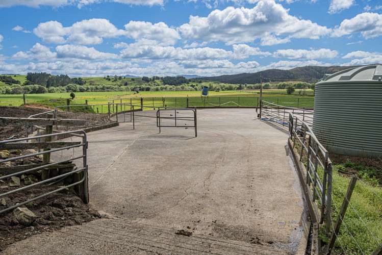 45 Jack Road Pakotai_7