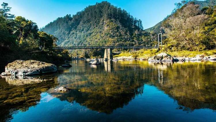 2 Sunline Crescent Paeroa_6