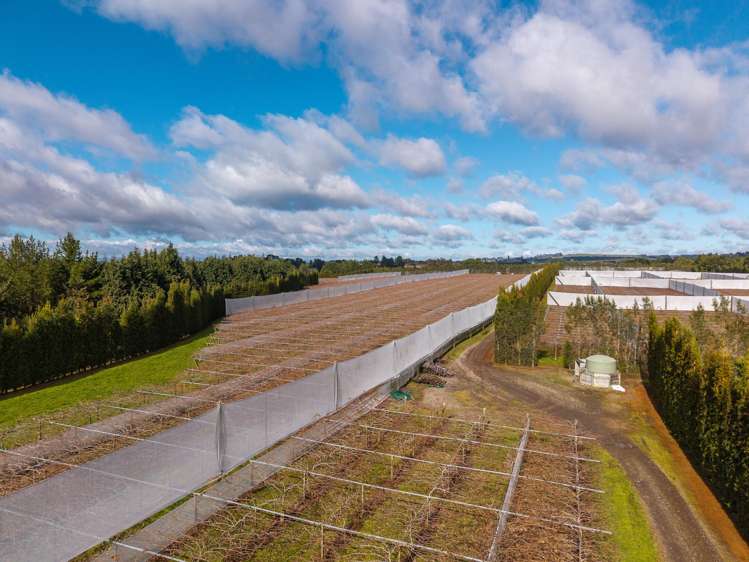 852 Rangiuru Road Rangiuru_30