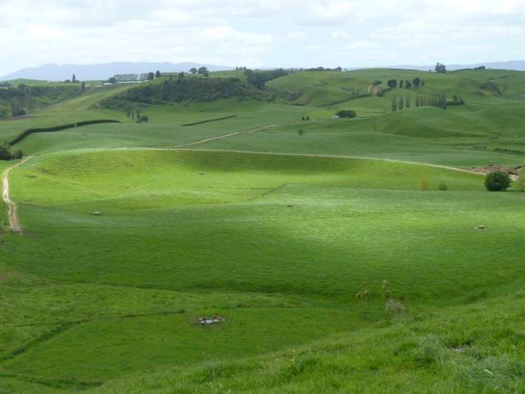 646 Henry Watson Road Richmond Downs_9