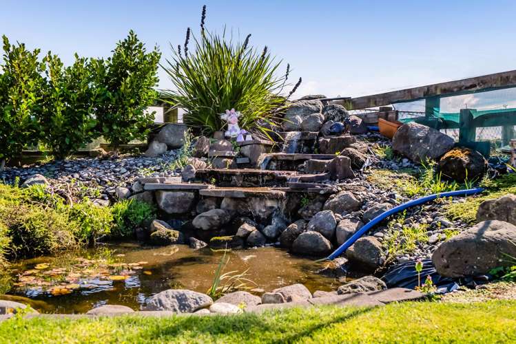 52 Climie Road Stratford_43