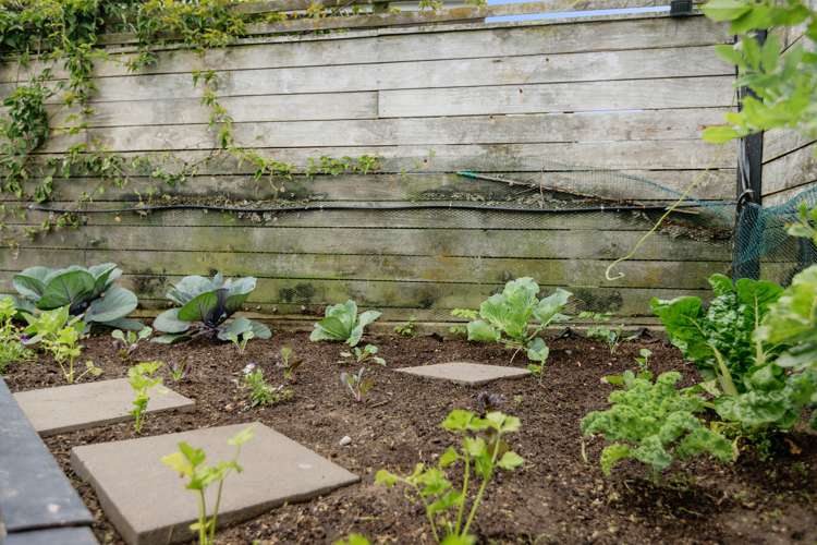 45a Valley Road Mount Maunganui_15