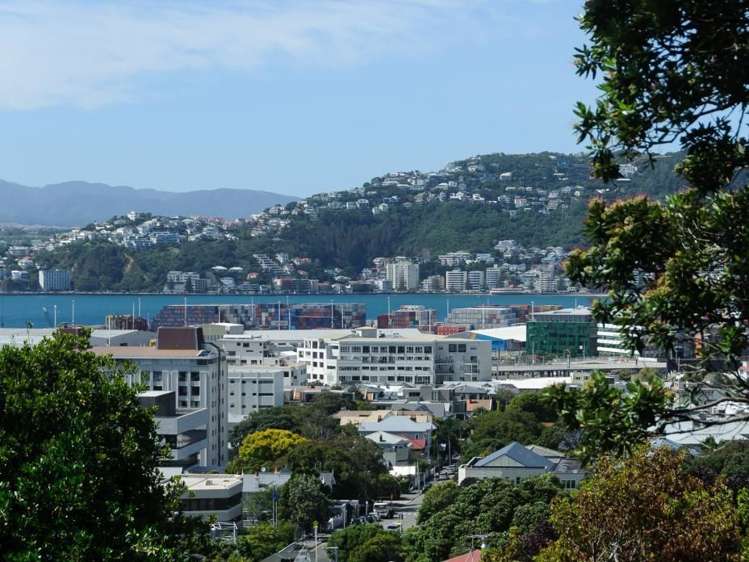 37 Newman Terrace Thorndon_5