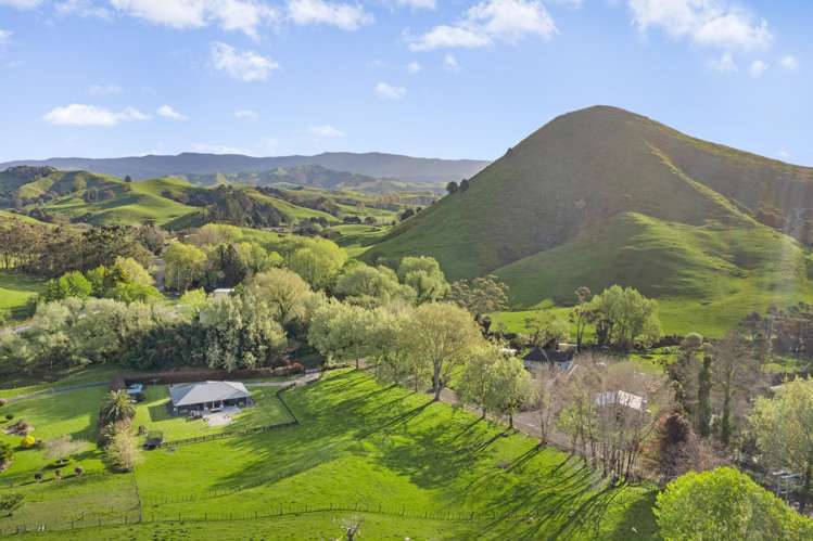 24a Cogswell Road Raglan_48