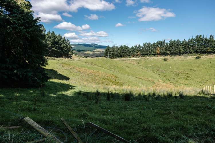 539 Mangatuna Road Weber_19