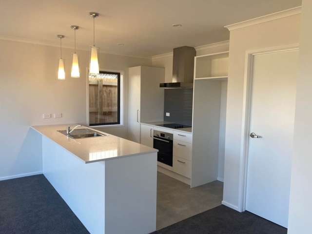 55 Koropupu Street Pukekohe_2