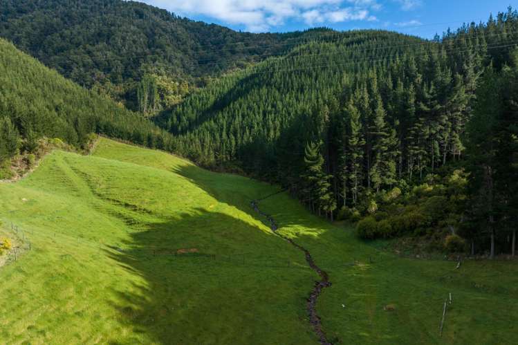 Lot 2, Maungatapu Road Pelorus Bridge_10