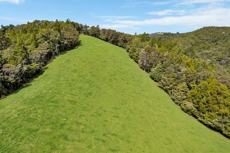 123 Waipipi Road Whananaki_41