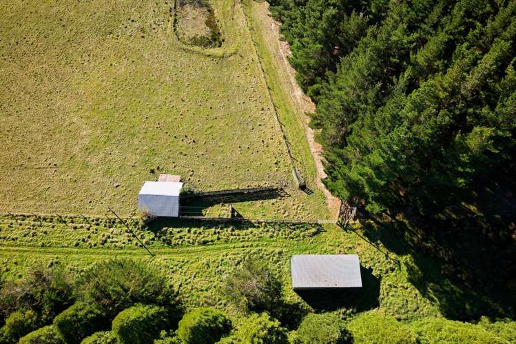 8P Davaar Road Greta Valley_12