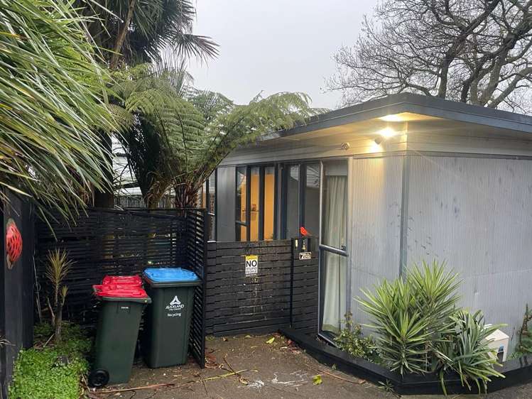 47 Hendry Avenue Hillsborough_20