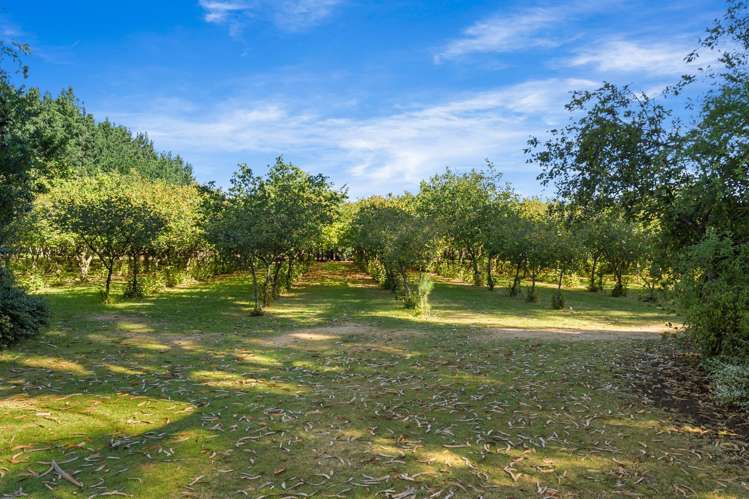 854 Hoskyns Road West Melton_13