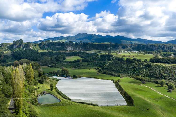 1151 Oreipunga Road Maungatautari_6