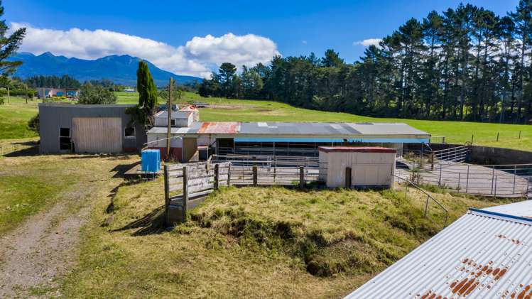 1256 Mangorei Road Mangorei_11