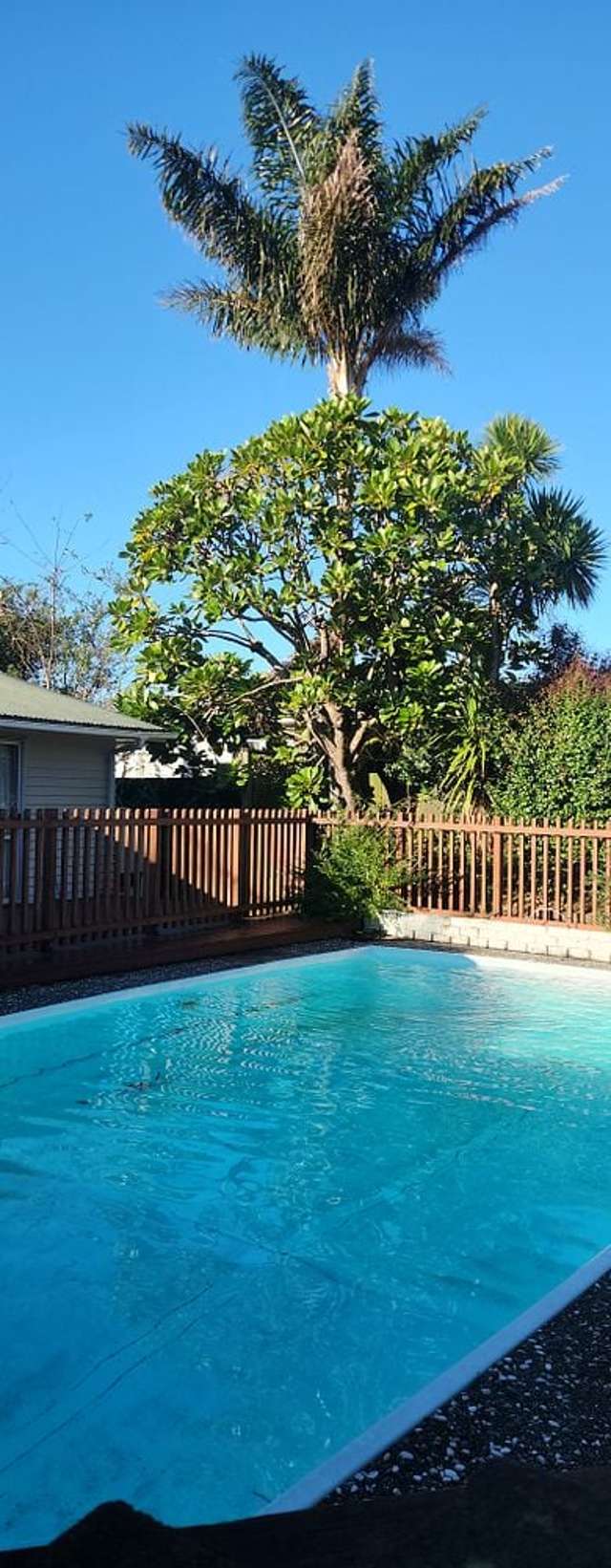 2/1569 Great North Road Waterview_1