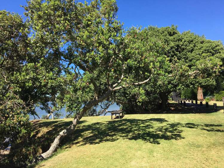 5 Citrus Place Mangawhai_26