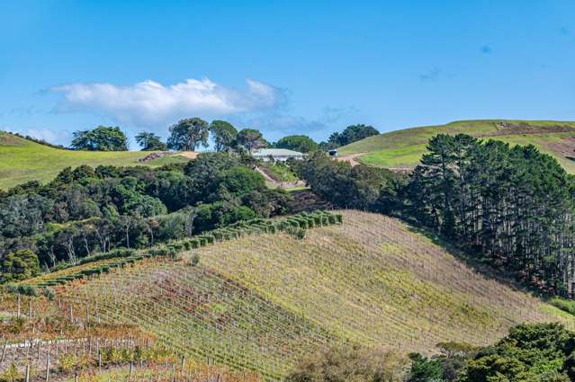 123 Sea View Road Onetangi_2