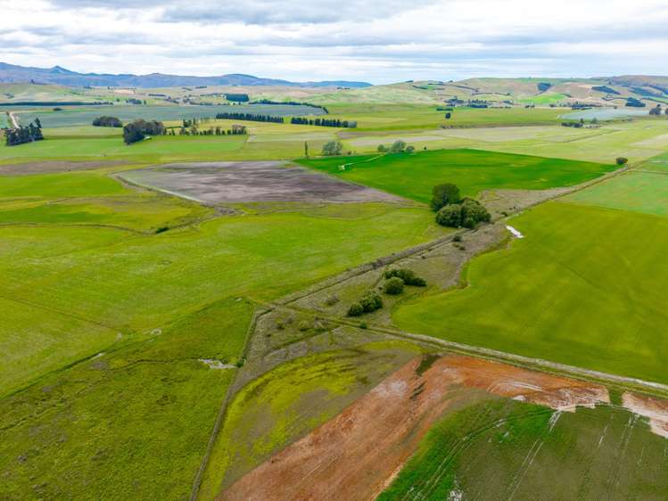 311 Hamilton Road Fairlie_13