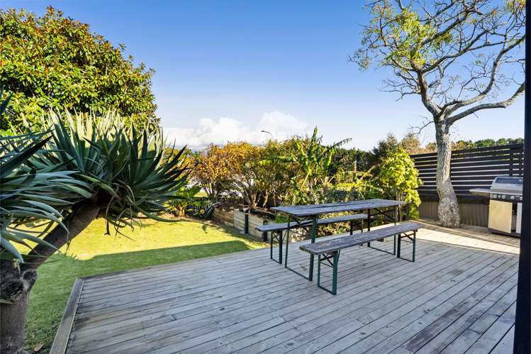 42 Norwich Avenue Spotswood_13