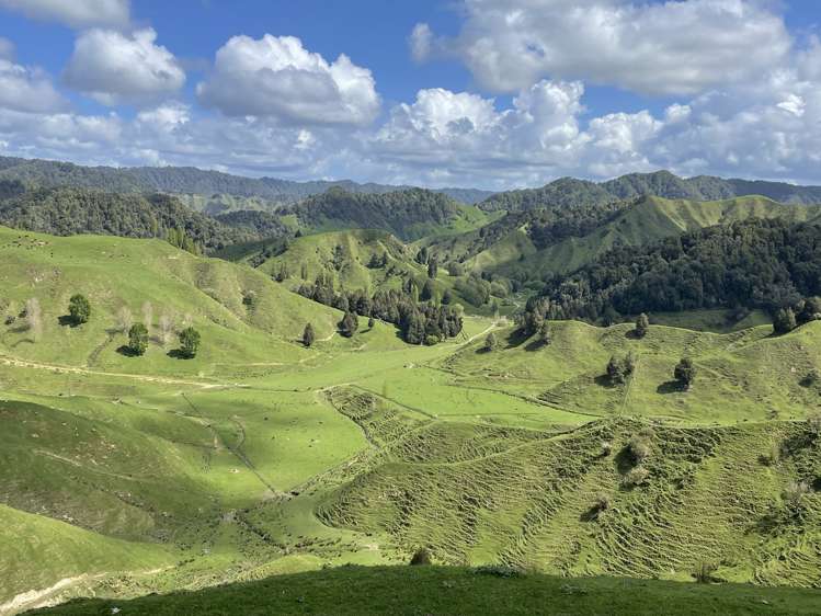 592 Waitewhena Road Ohura_10