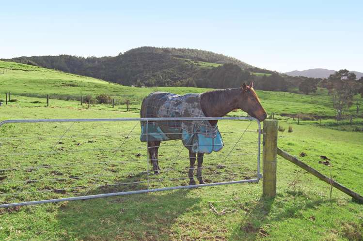 353a Brown Road Kaiwaka_24