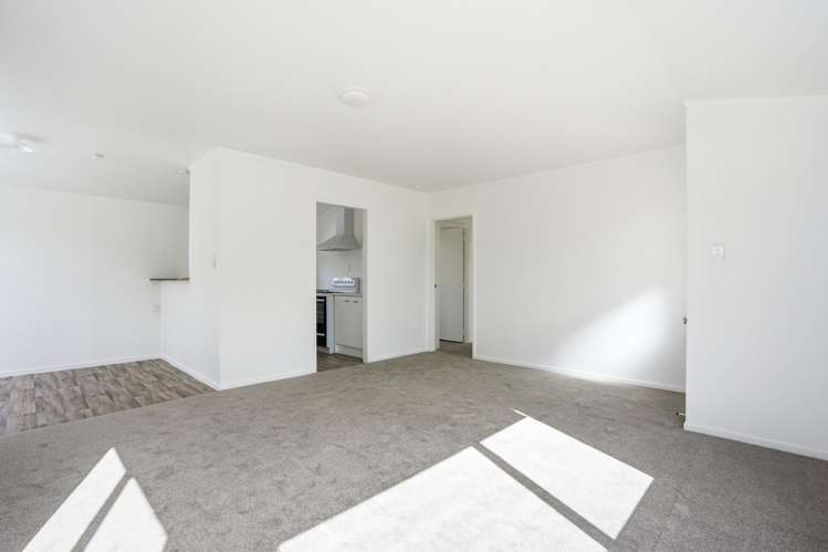53 Pah Road_3