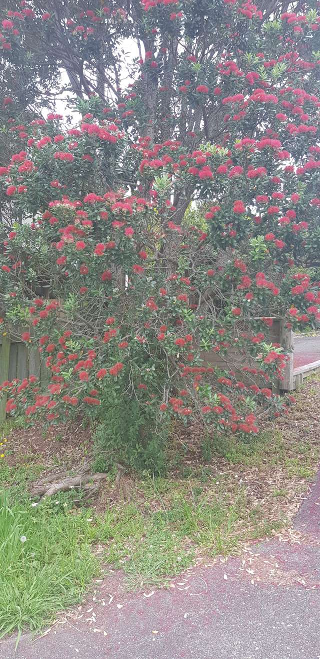 6c Rautawhiri Road Helensville_2