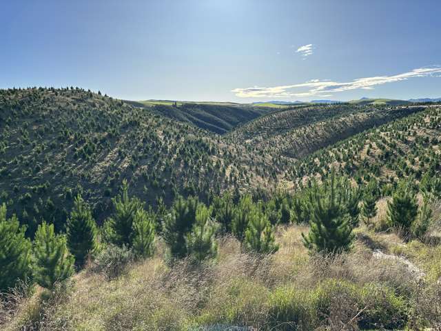 Taieri Peak Road Palmerston_2