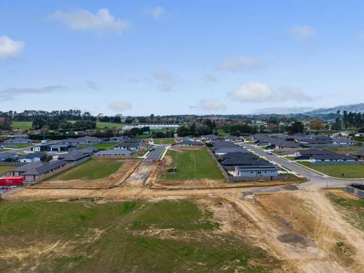 25 Pahiki Crescent Levin_4