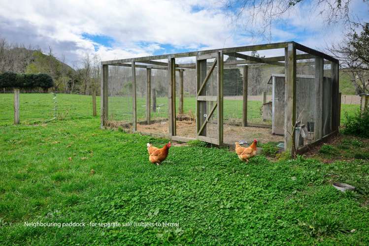 232 Brownlie Road Wairoa Country_30