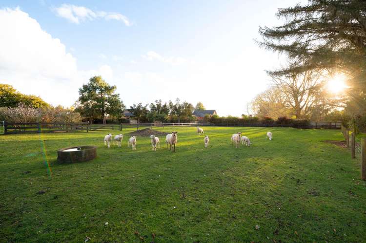 191B Tauwhare Road Tamahere_21