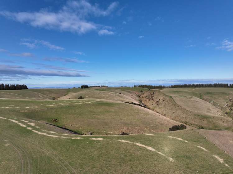 168 Remarkable Road Lawrence_21