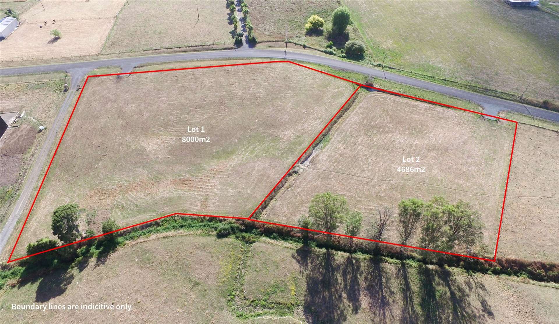 Taukoro Road Morrinsville_0