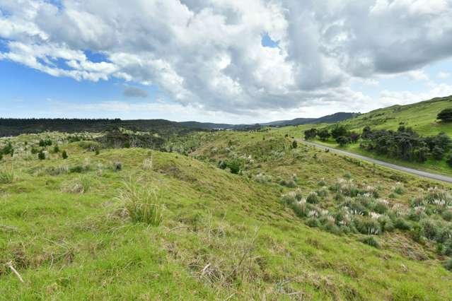 Lot 2/DP170782 Wilson Road South Head_2