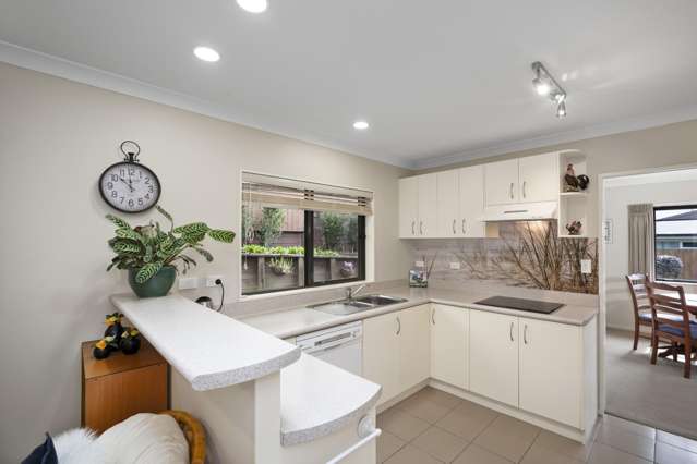 164 Hollister Lane Ohauiti_3