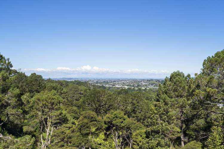 128 Mcentee Road Waitakere_10