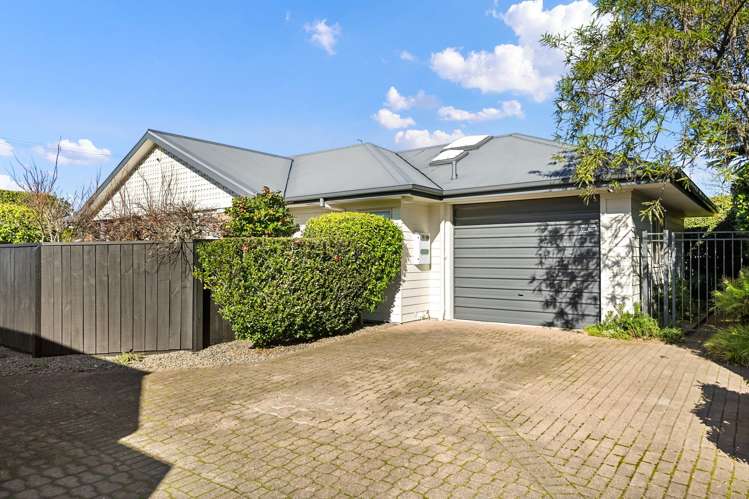 9A Short Street Claudelands_21