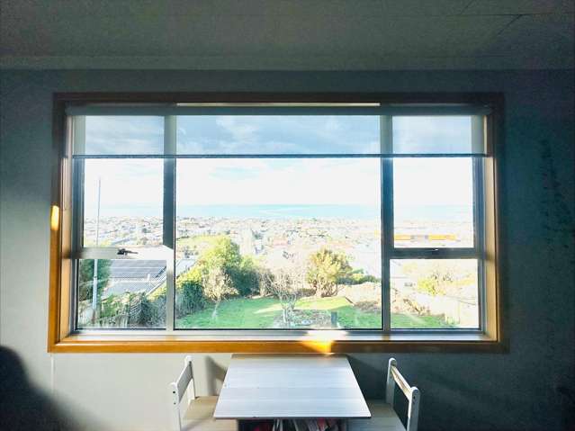 30 Warren Street Oamaru_3