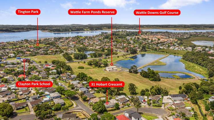 31 Hobart Crescent Wattle Downs_18