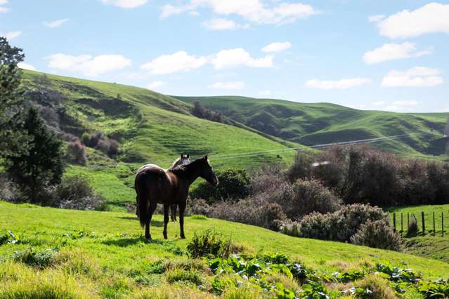 217 Golden Valley Road Waihi_2