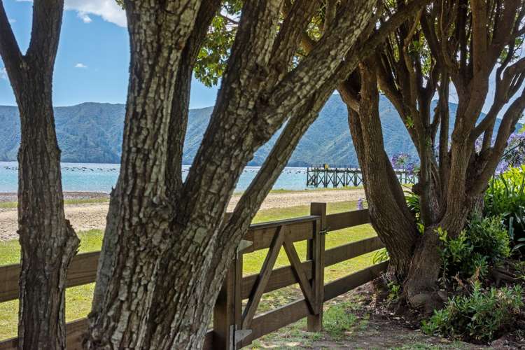 1024/1028 Elie Bay Road Pelorus Sound_20