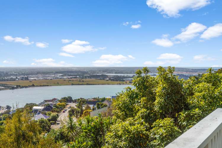 241 Cannon Hill Crescent Mount Pleasant_24