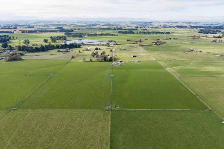 1412D Wellington Road Marton_8