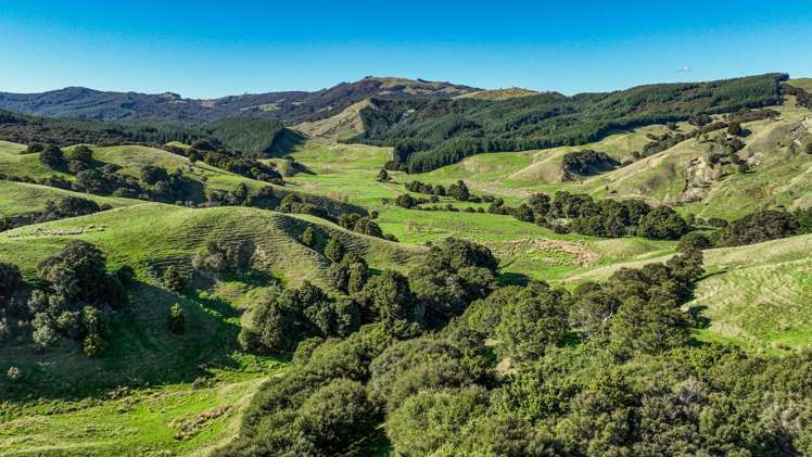 1550 Glenora Road Akitio_25