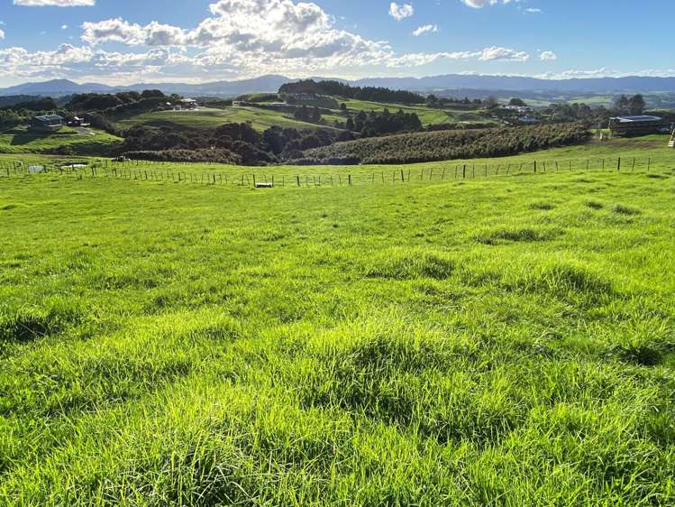 5 Wendy's Lane Mangawhai_7