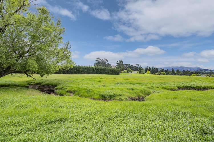 797 Lake Sumner Road Masons Flat_31